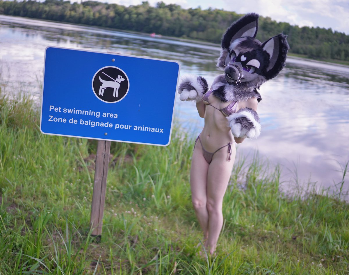 dumbmuttbutt's tweet photo. Pet swimming area!! https://t.co/27YlsyJAKA