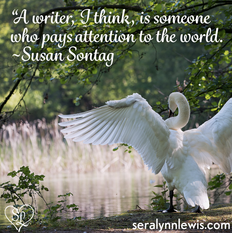 SeralynnAuthor's tweet photo. Do you think this is true?

#ReadingRomances 
#author #writing #bookish #romancebooks https://t.co/UDrW5yOwkv