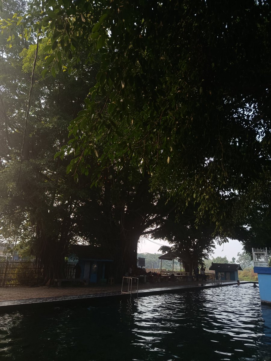 itskindasun's tweet photo. anyone? 
#gayklaten #gaysurakarta https://t.co/tbyIs4G9rw