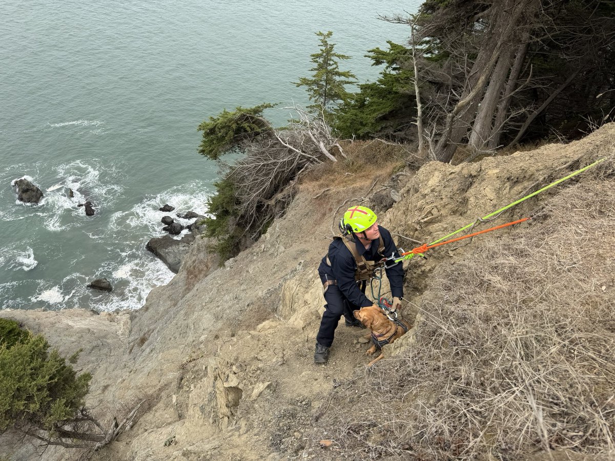 SFFDPIO's tweet photo. #yoursffd responded on 08/17/2026 at 2:10 PM to a dog that had gone over the cliff near El Camino del Mar at the landmark Dead Man’s Point. 

Our cliff rescue team and Rescue Squad quickly set up a rope system and safely brought the pup back up. No injuries reported, and the dog was happily reunited with their owner. Great teamwork all around!