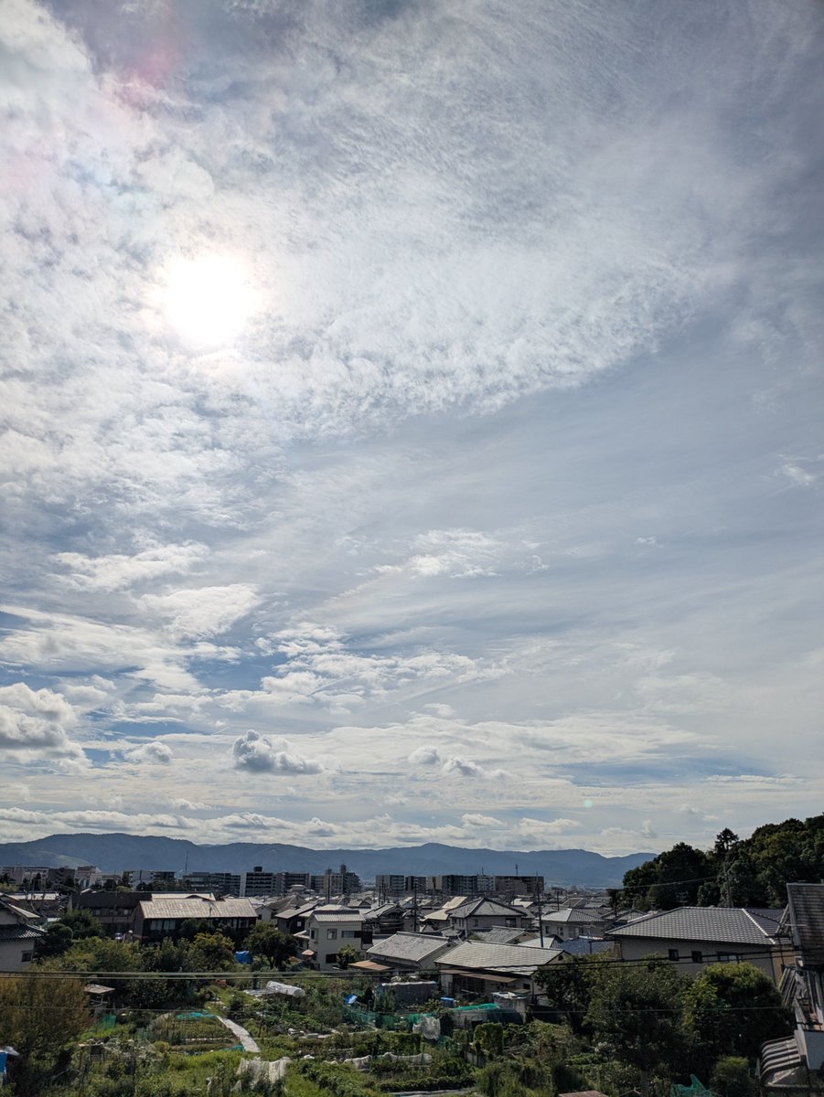 hennara5's tweet photo. 朝散歩 2026.8.18
#朝散歩 https://t.co/Ludmc8H8Vz