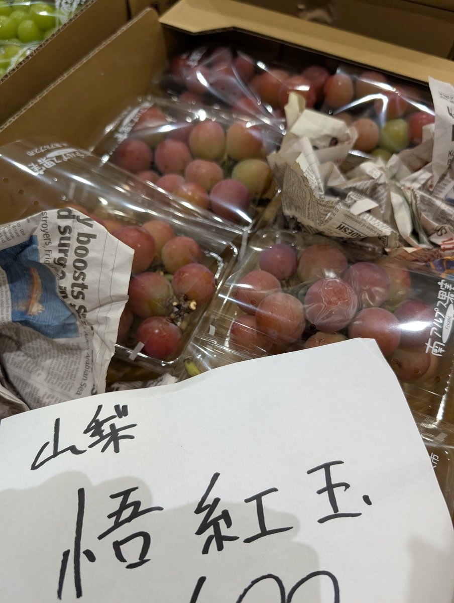 tsukijiichiba's tweet photo. #悟紅玉🍇

かつては「#ゴルビー」という名で流通していた赤ぶどう品種です。
風味豊かで、糖度酸度のバランスが抜群な味わい濃厚。

数年前に改名しました🤔

近年の種無し皮ごとブドウブームの影ですっかり少なくなってしまいしたが
中の人も大好きな果実です✨️ https://t.co/MWw9gSH50P