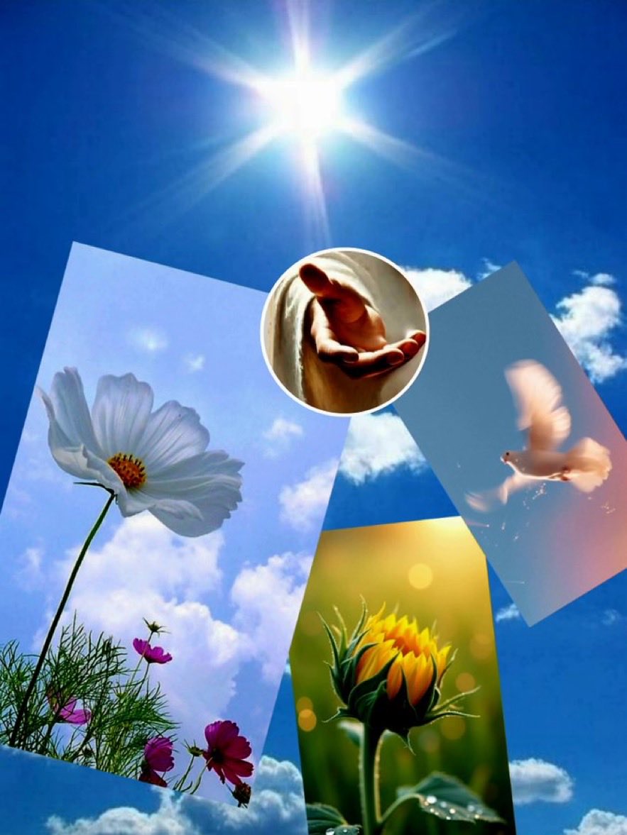 862Wx's tweet photo. 🌻遠きかの日々に

　心のふととべば

　魂うばはれて

　暫したたずむ🌻

おはようございます🍃🌾🍃
お盆の送りもすませふと思う
この世の次の次の世は私は何に生まれ変わるんだろうなんて
つい幻想的な想いを空に向かって馳せた。今の私の1番可愛かった子供の頃にまた生まれ変わりたいな……🌈👒 https://t.co/73oprjRijm