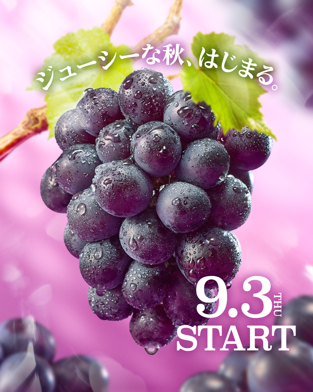 こみみ　ページ こみ on X / X