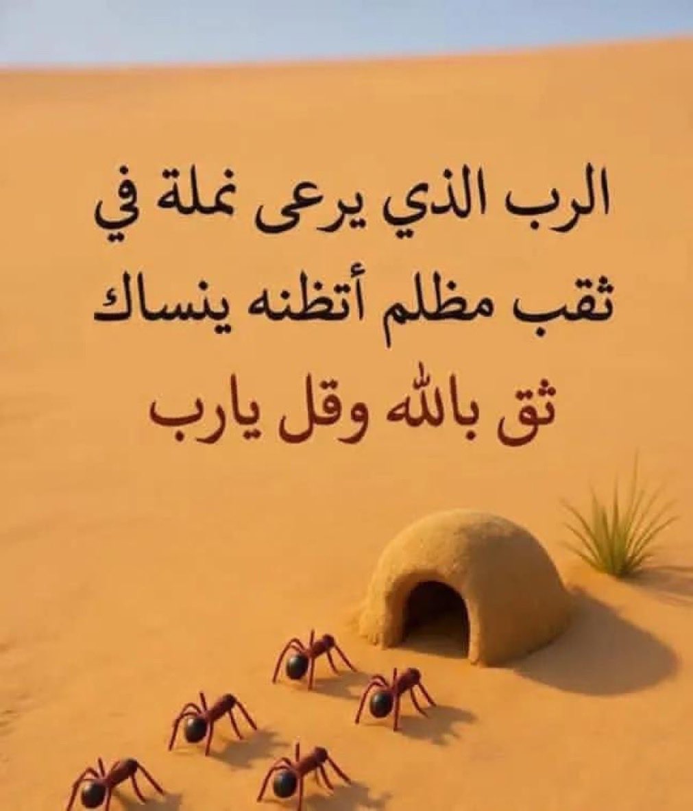 hlohdhd's tweet photo. 🕊️🌹 https://t.co/Z5igac3bBp
