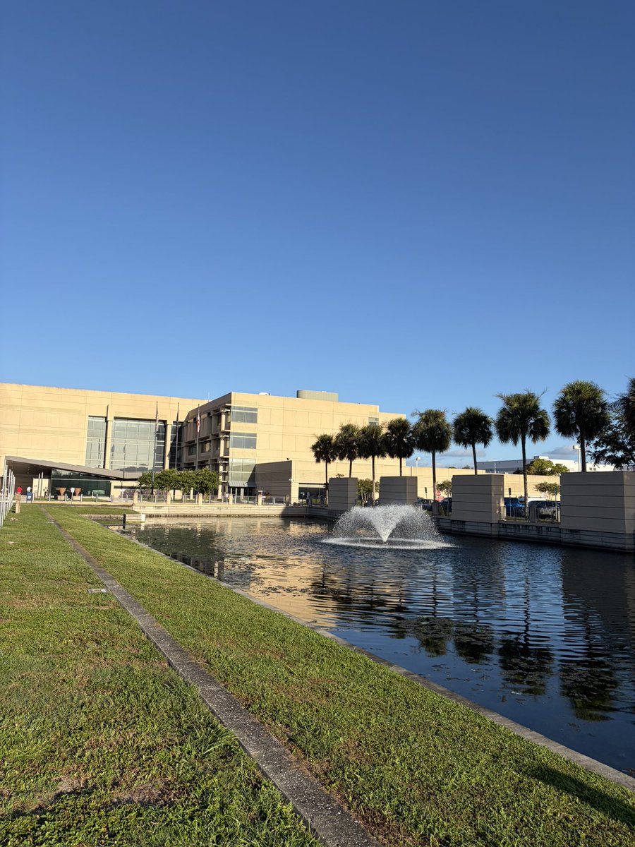 FreyLawFirm's tweet photo. Mornings at the Pinellas County Courthouse: https://t.co/qMvQYyO4BK