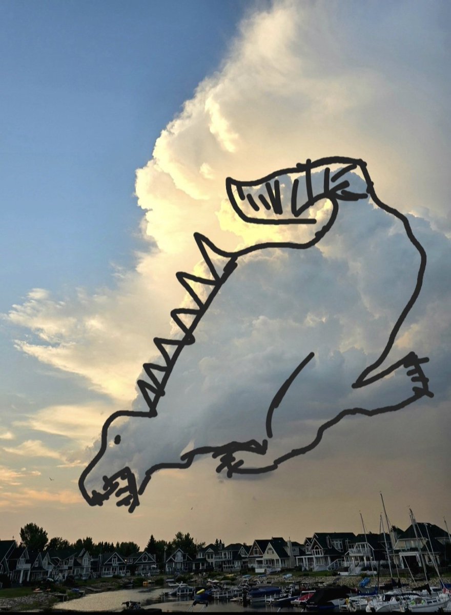 StayHumblenKind's tweet photo. 🐊 #CloudCreatures 👀
'from above' 💫
#DailyPictureTheme 💓 https://t.co/GNL30fiMbs