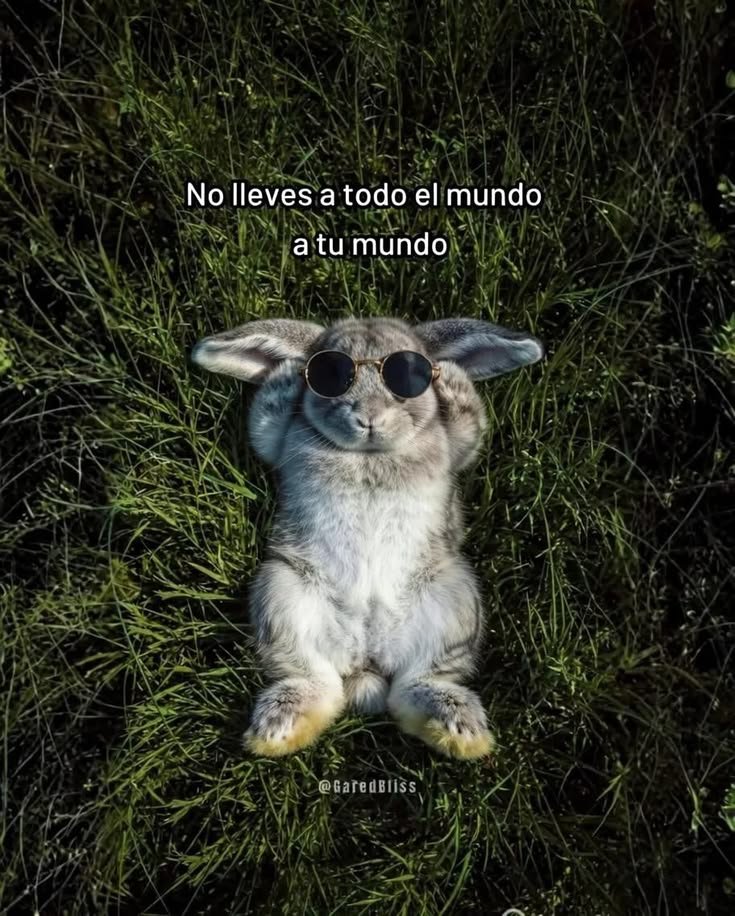frasesfavor's tweet photo. Protege tu mundo https://t.co/bZ6azJjUeW
