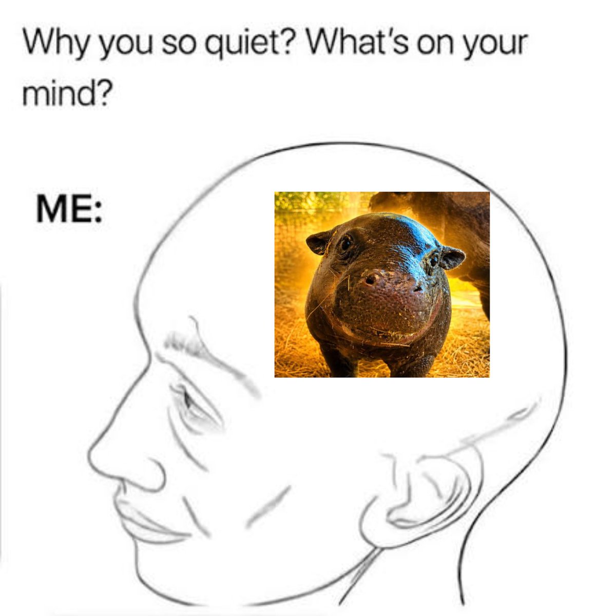 Poipoihippo's tweet photo. Soon they will understand... https://t.co/6dC29xpQaD