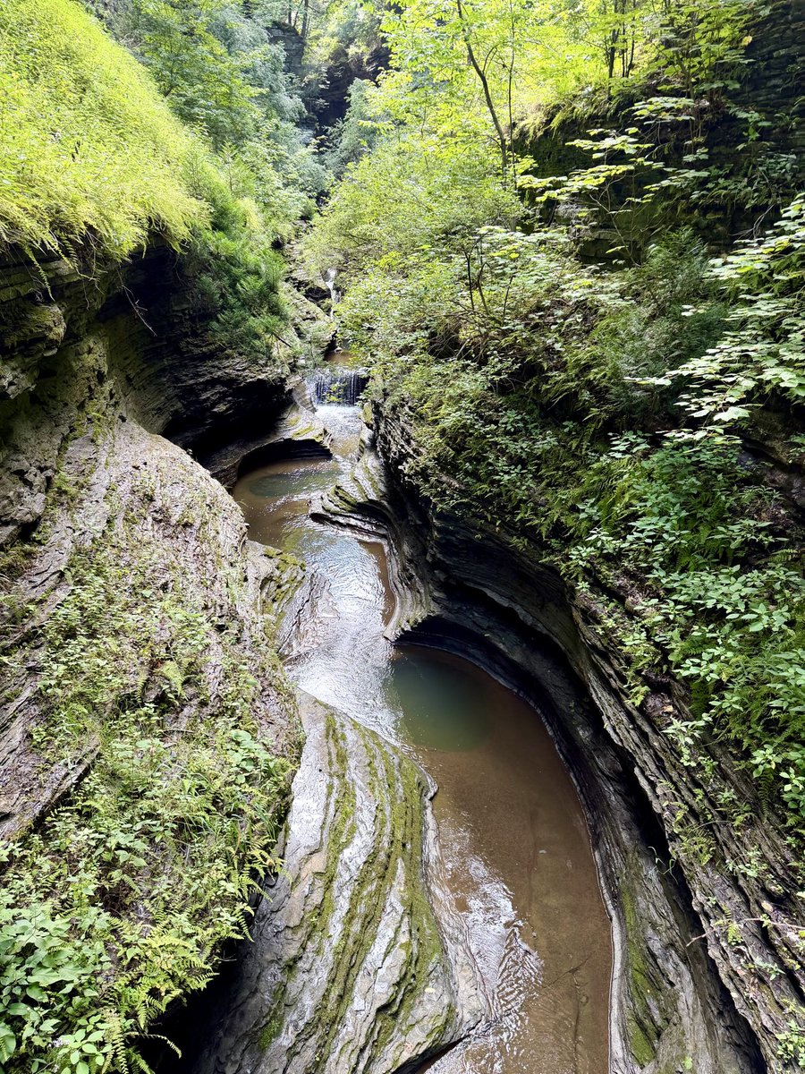 TheOutlawCPA's tweet photo. Day 9 was loaded with things to do and see. The town of Watkins Glen and the State Park were home runs for a little time off the bike. #TTFF #statepark https://t.co/43bJU2cEpZ