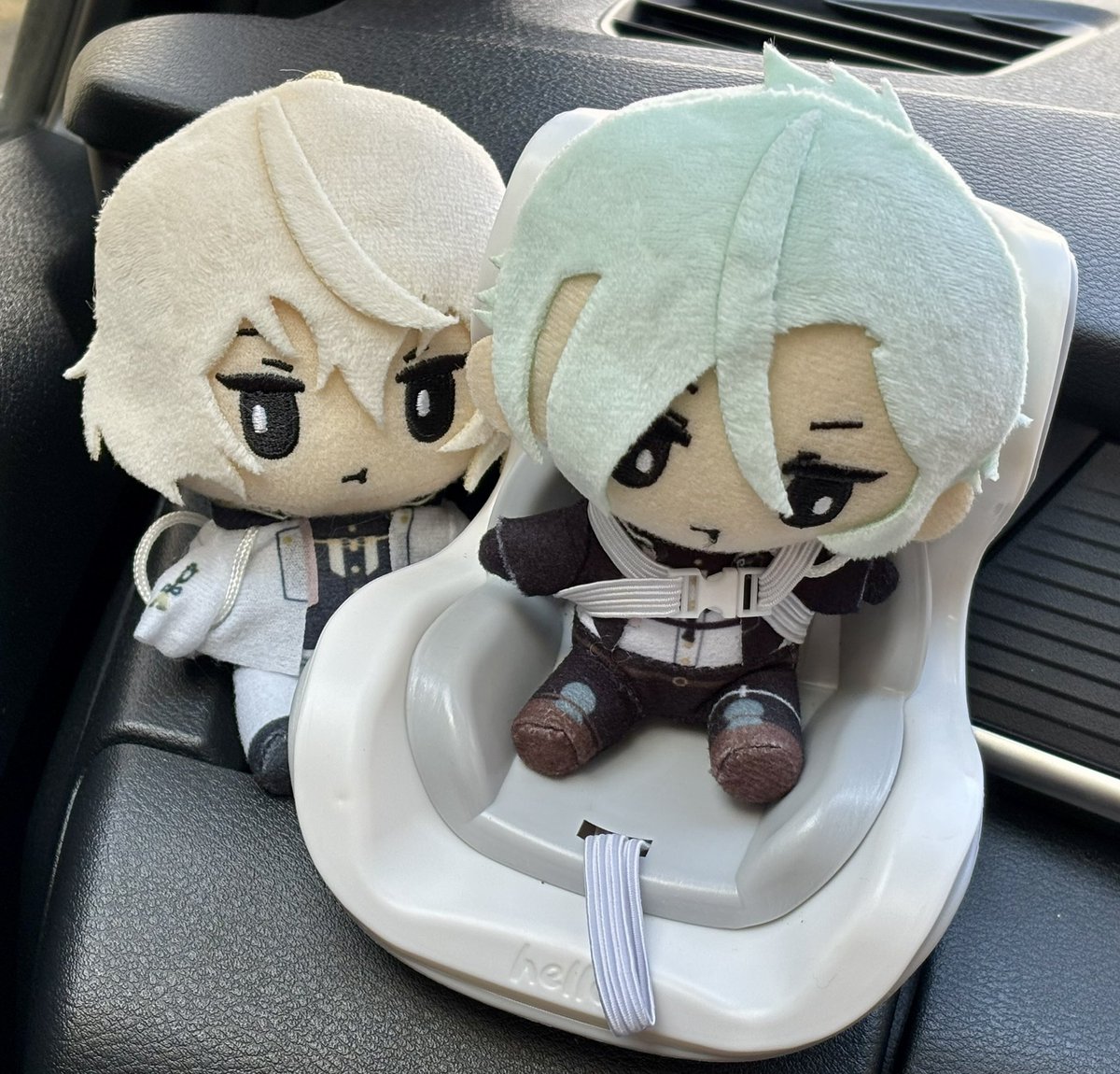asaii_0824's tweet photo. おまえは小さいからぬいるどしーとに乗って帰ろうね https://t.co/ojc9xR9c1T