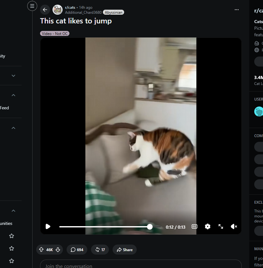 narrativehuntor's tweet photo. We have not sent a straight up animal meme in so long

46K upvotes in 12 HOURS IS INSANE

Everyone is calling this cat a rabbit/Cabbit because he just jumps around all retarded

Market is dead so might aswell send a GIGA VIRAL ANIMAL RUNNER MEME
https://t.co/gKZ6KzwXlZ https://t.co/ghlTr5SmVx