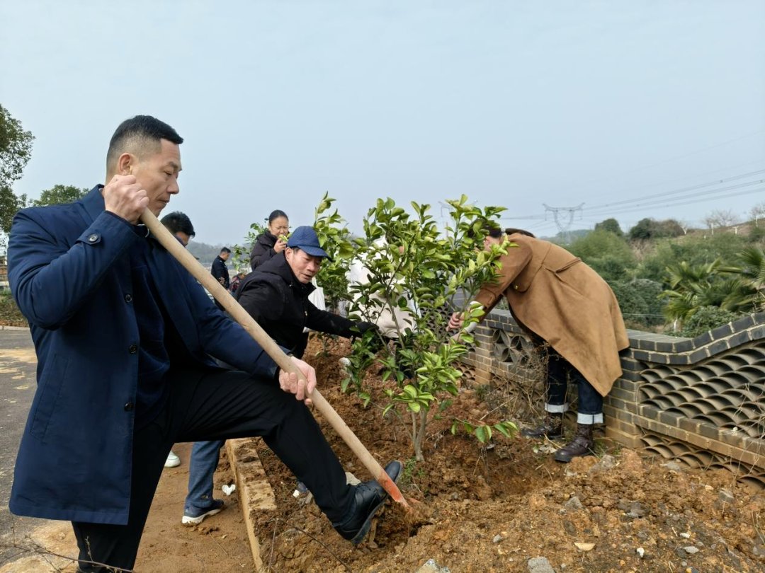 mnjm7515's tweet photo. [本周六上午9点社区花园手植活动报名啦！带好小铲子来种香草，亲手打造家门口的疗愈小天地，还能领定制园艺小礼品，名额有限速戳报名～]， https://t.co/D6tcCF5UmY