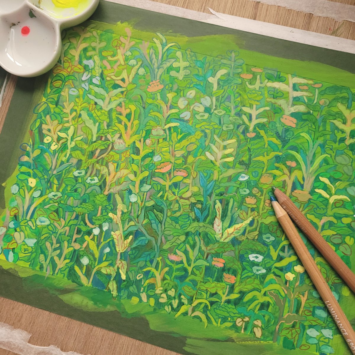 Huck_8989's tweet photo. 夜な夜な植物描きまくる夏休みだった https://t.co/M2NtX96OGQ
