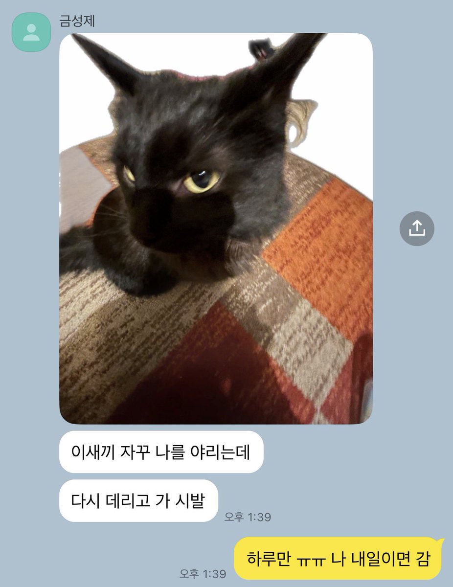 cheolsoo29's tweet photo. 깜고 연시은 금성제한테 맡김
+ 약 성시 https://t.co/XxHAwxWL1d