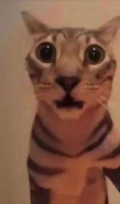 ChunkyDeathClaw's tweet photo. Mother dearest you know I am the most respectful deathclaw ever please don't destroy my motion, I apologize for the way I acted earlier just please leave my money and vault outta this please mom https://t.co/gh0B9xsjFx