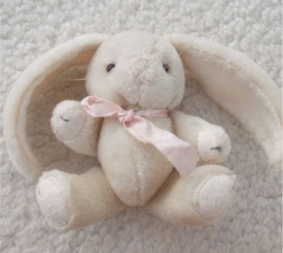 bunnybettyy's tweet photo. bunnies everywhere 🐇 https://t.co/YD4ttCEnQt