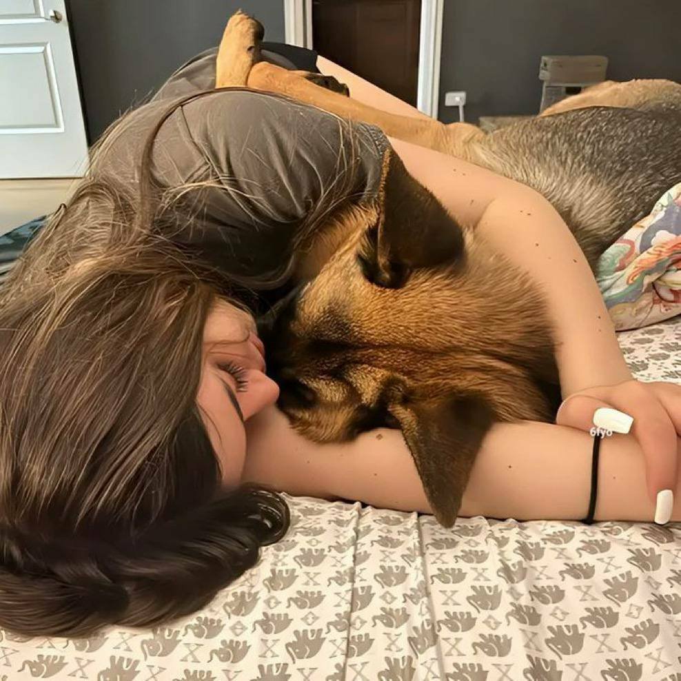 francoel22's tweet photo. Bet You Gonna Love To Watch My Mind Blowing k9 Content Boo❤❤ ask for it here https://t.co/Ayd8ow3YQw

#beastiality #beastmode #zoophilia
#k9mom #k9love
#etobicoke #horseslut
#dogslut
#Australian https://t.co/tc5uGVh6iH