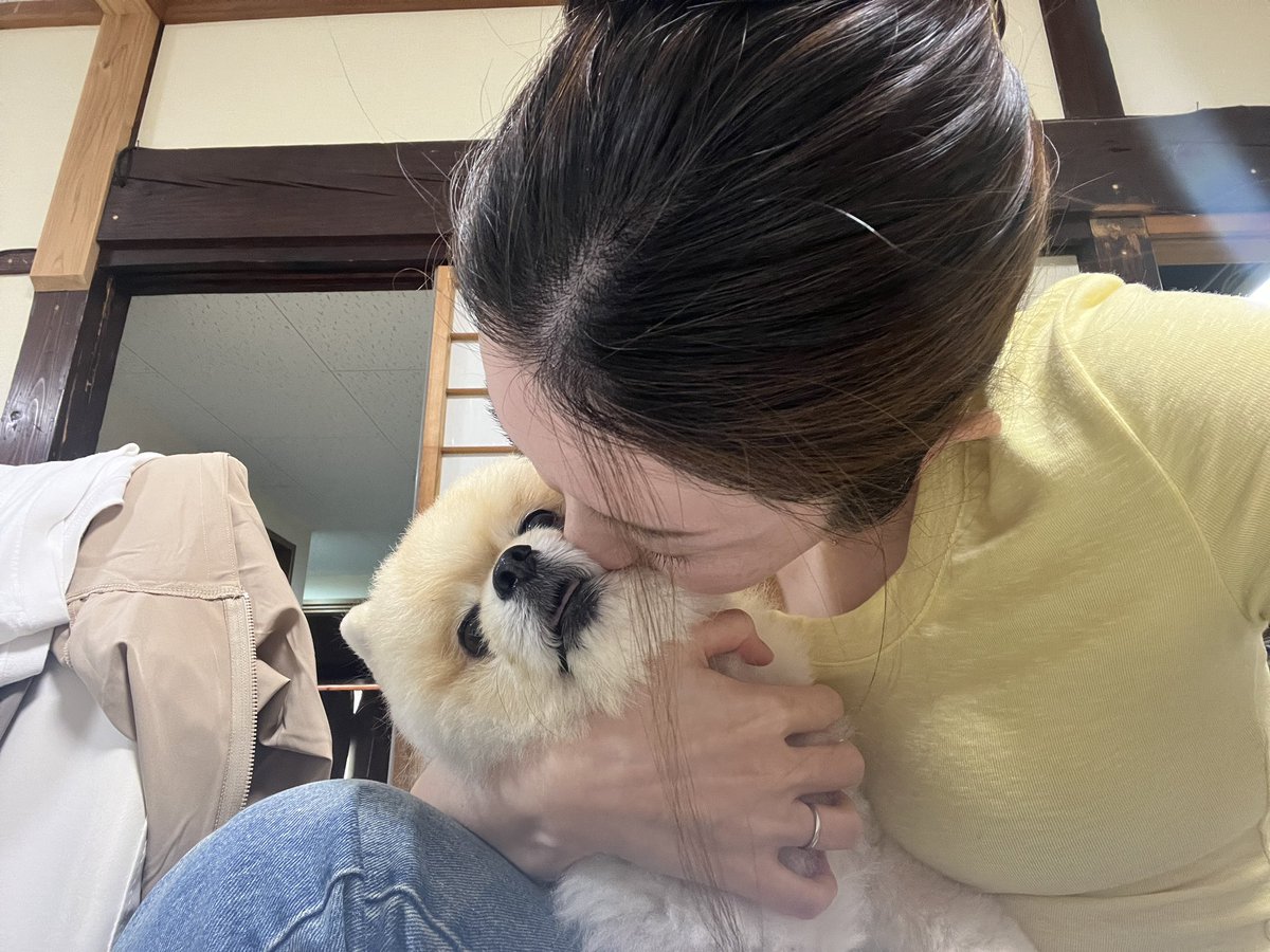 bokulub0601's tweet photo. 今日もルブが居てくれて幸せだぁ https://t.co/ZUH7Q53Olt
