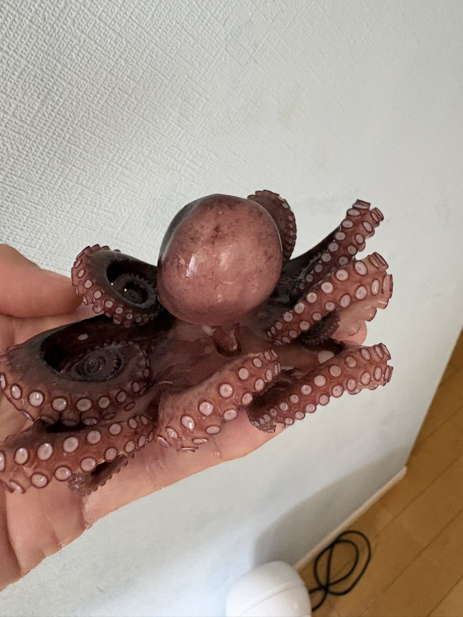 tabo0719's tweet photo. 釣ったタコで🐙
タコ飯🐙🍚
#タコ
#タコ飯
#蛸釣り https://t.co/9WI08QwY7E