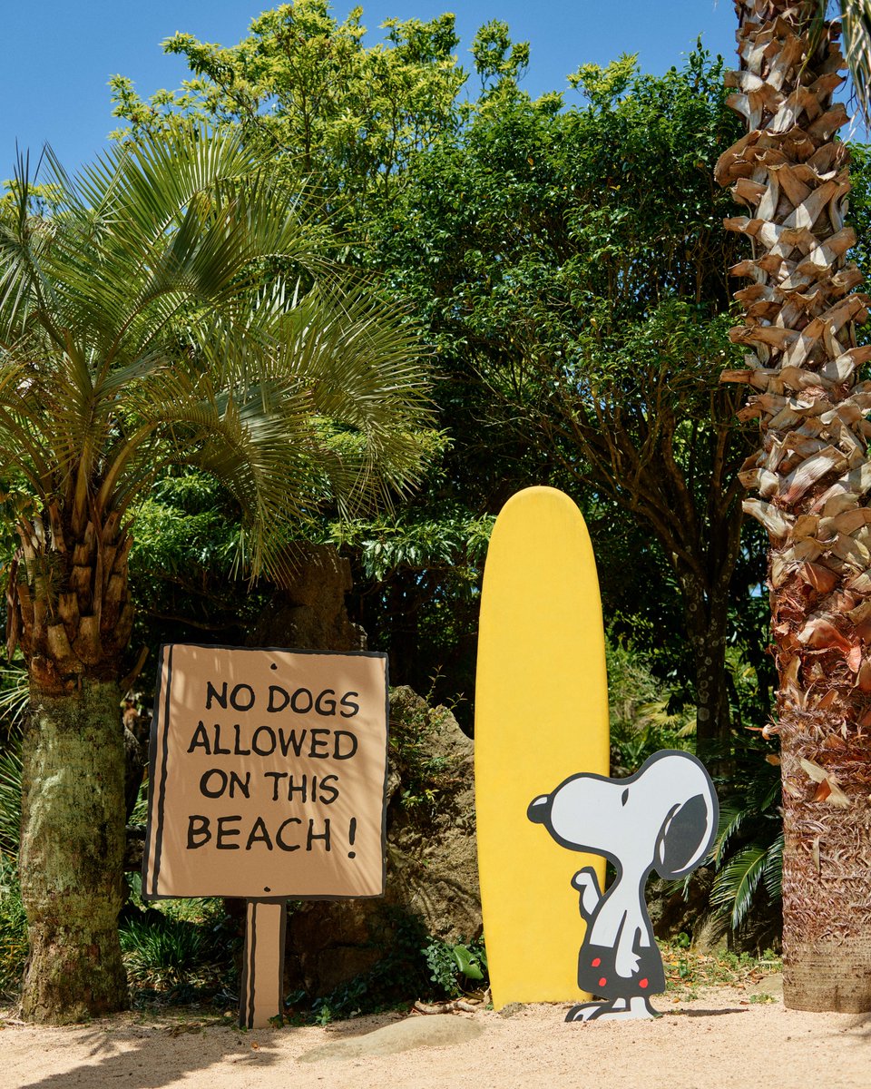 VisitaCorea's tweet photo. Snoopy Garden, un rincón lleno de naturaleza y emociones en la isla de Jeju 🌿

Snoopy Garden es un parque temático inspirado en el universo de Peanuts, donde los visitantes pueden disfrutar de exposiciones, jardines y senderos rodeados por la naturaleza de la isla de Jeju. Es un lugar perfecto para relajarse, tomar fotografías y redescubrir los entrañables personajes de Snoopy y Charlie Brown.

Cada estación del año ofrece un paisaje diferente, por lo que siempre hay algo nuevo que descubrir. Tanto si viajas en familia como en pareja o con amigos, Snoopy Garden es una parada ideal para disfrutar de un momento tranquilo y lleno de encanto durante tu viaje por Jeju.

💛 Encuentra descuentos especiales en nuestra página de VISITKOREA:
https://t.co/0CQCuzYhQw

ⓒ 에스앤가든