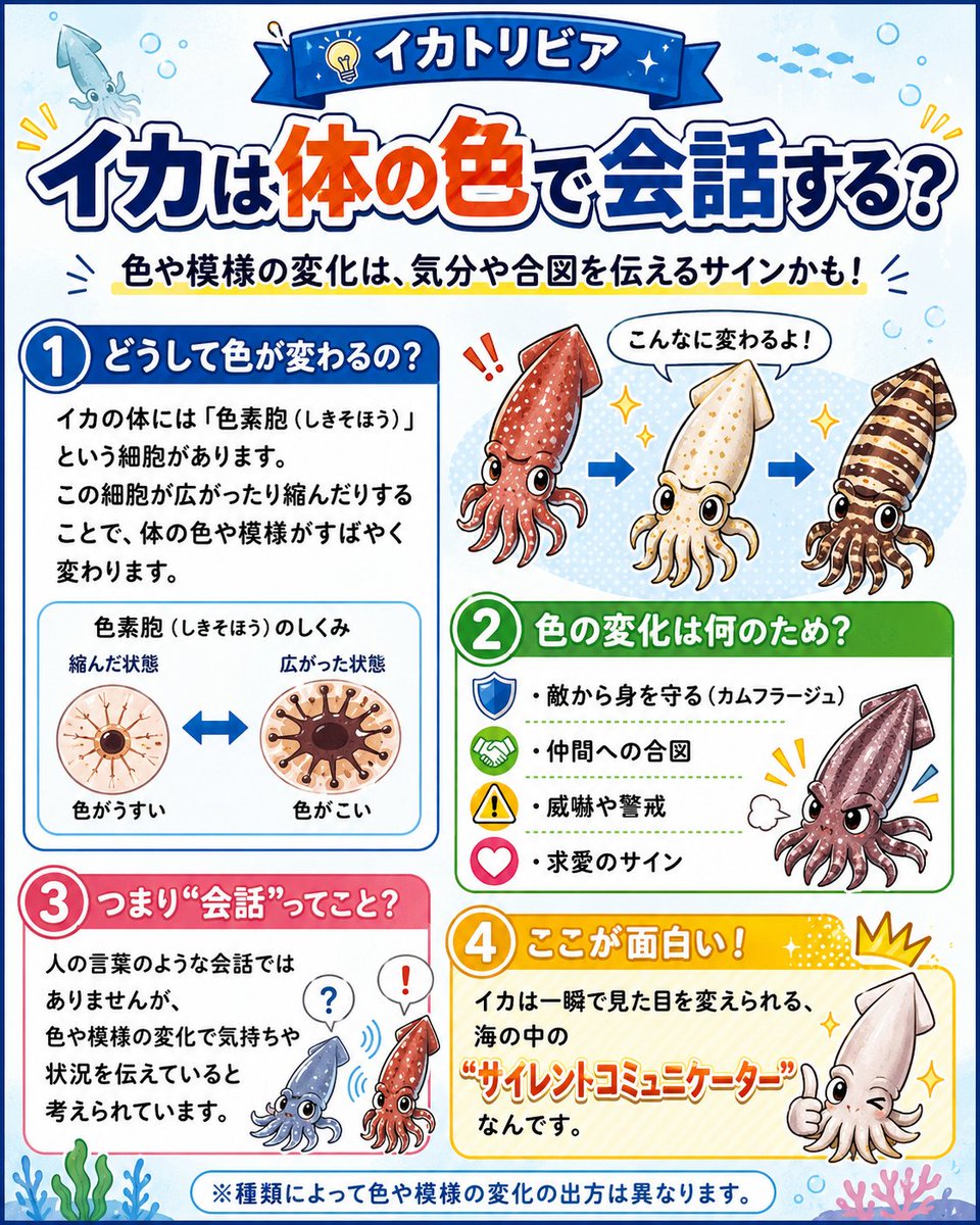 asukaikakoi's tweet photo. 🦑イカは体の色で会話する？皮膚の「色素胞」を使って、色や模様を瞬時に変化。カモフラージュだけでなく、威嚇・警戒・求愛などの合図にも使うと考えられています✨ #飛鳥フーズ #イカトリビア #イカ #海の生き物 https://t.co/2F6Bf8pRZp