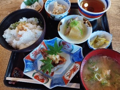 bamboodream7's tweet photo. 本日のお昼は女性客に人気の近所の古民家でおばんざい定食。ここの定食は身体に優しくてしかもとても美味しい。毎日食べたいくらいお気に入りのメニューです。 https://t.co/I9Ksd3zJhx