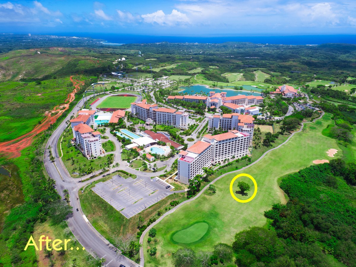leo_palace_guam's tweet photo. ゴルフコースの建設当時から、変わらずこの地に根を張り、静かに時を刻み続ける一本の木。
長い年月を見守ってきたその姿には、自然の力強さと歴史が息づいています。
雄大な自然に囲まれたグアムの丘で、皆さまのお越しをお待ちしております。
#Guam #golf #夏 #ゴルフ旅行 #カントリークラブ https://t.co/MKHsxMZVOJ