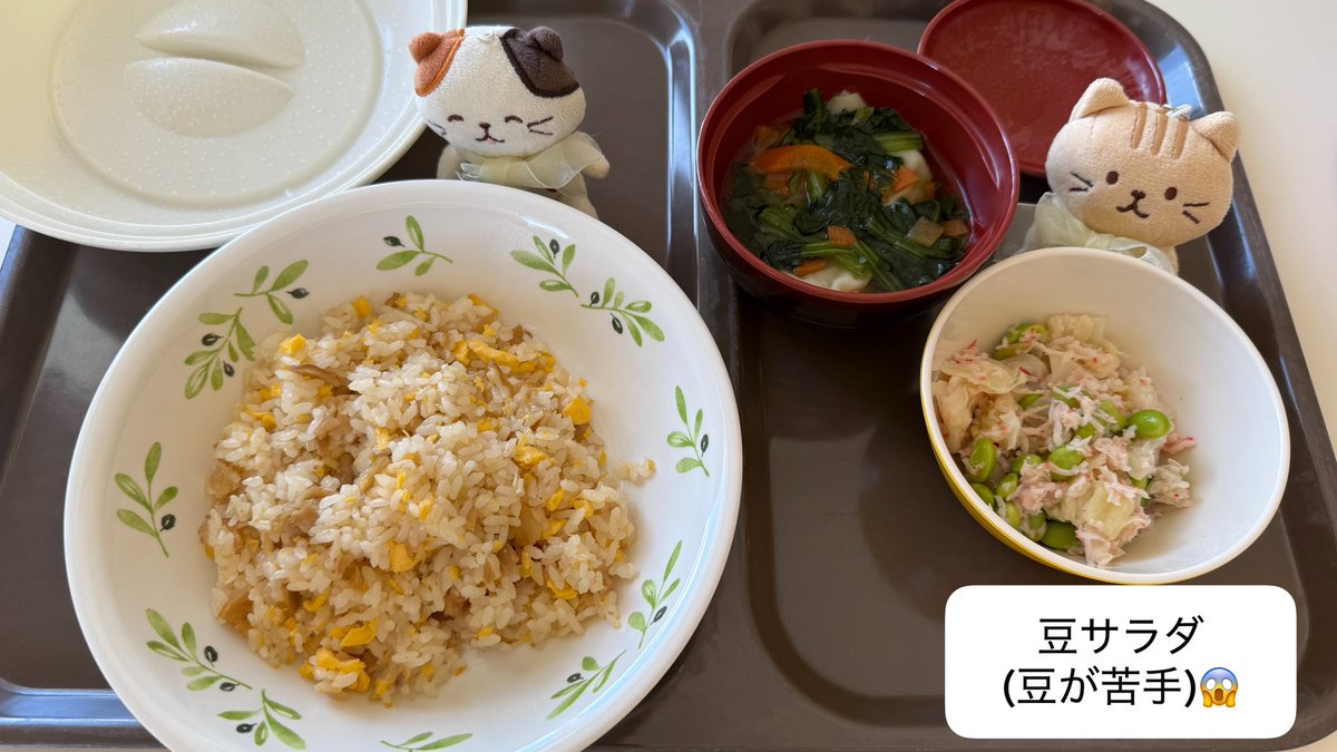 peachte4047's tweet photo. にゃんだ～?!
今日のお昼ご飯は
今までに見た事のないタイプだにゃ🍚

#ふくふくにゃんこ https://t.co/HmCa96Xa2w