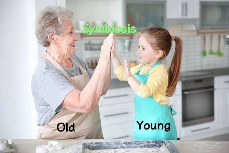 Brandon57909106's tweet photo. Then use symbiosis medicine technology with a younger human to an elderly human. In order to receive growth and tissue repair protocols from the DNA of the young human. And use stem cells as raw materials to repair the flesh, stem cells will be fuel for cell repair restoration! https://t.co/xLbSEBcYsJ