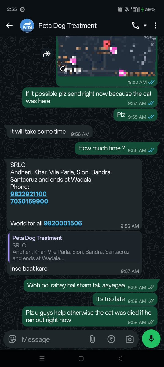 ajaybartender's tweet photo. I contacted @PetaIndia for EMERGENCY treatment for a street cat in critical condition. Instead of sending help, they just gave me another number to call. This is a life-or-death situation and I'm being passed around. This is unacceptable https://t.co/M6c6qHkEZb