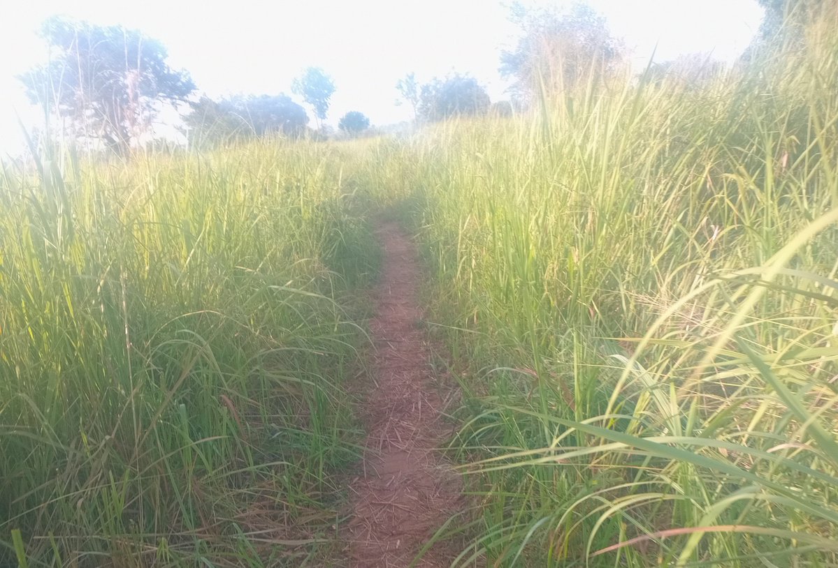 margretabwoyo2's tweet photo. Dear fellow farmers🌱

Let's go attack  the day https://t.co/6Z30xbitRN