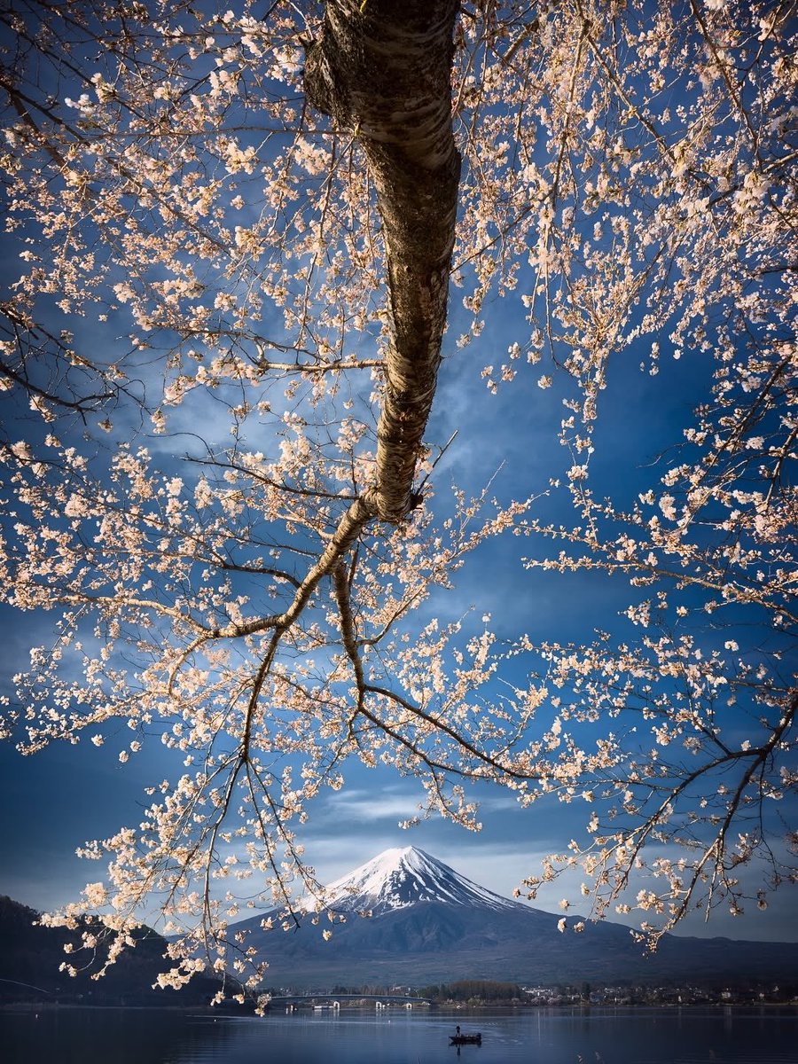 mira_beant's tweet photo. mount fuji https://t.co/mwIbBaZ2Zi