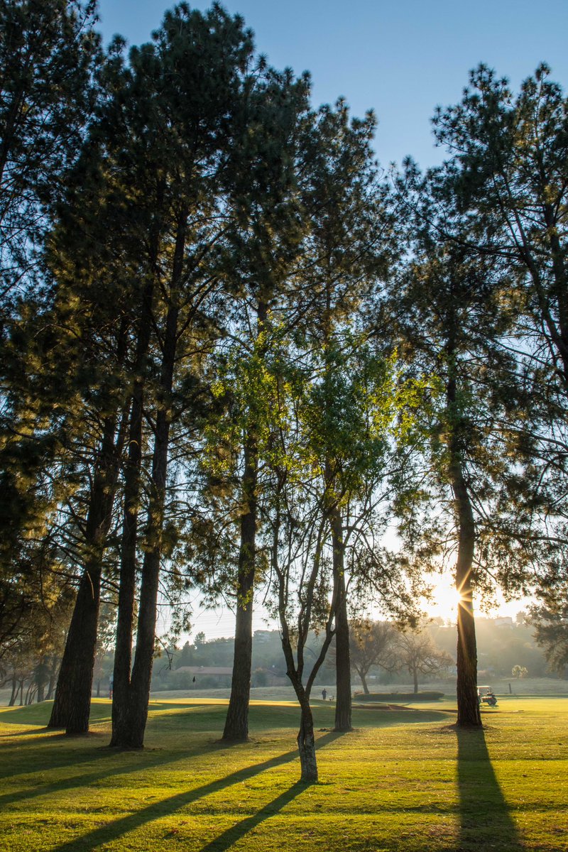 Sunshine_Tour's tweet photo. Welcome to Day 2 of the Sunbet Challenge Hosted By Time Square @wingateparkcc 

#sunbetchallengetimesquare #sunbetchallenge #greatnessbeginshere https://t.co/VkkKnrenNJ