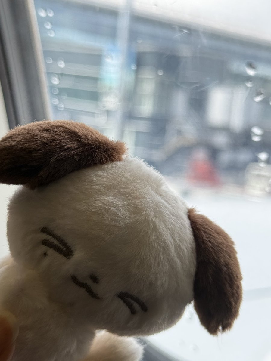 luvlu328's tweet photo. 솓따뛰 좋았다…🩵💙🩵💙 
이제 현생을 살자…… https://t.co/DsDq5RKKAQ