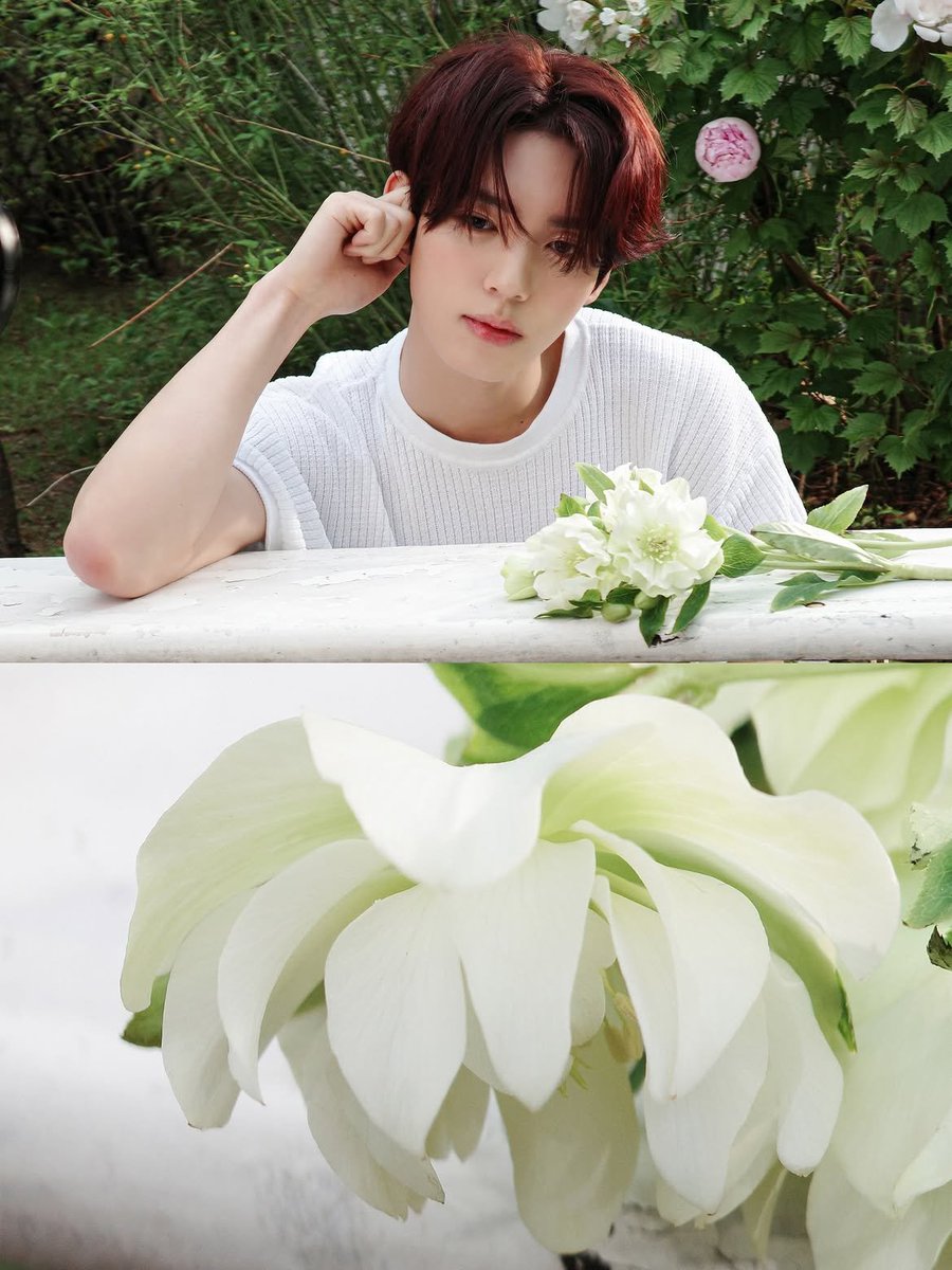 Yuzjins's tweet photo. There was something about the quiet garden, the white blossoms, and the gentle breeze that made everything feel almost dreamlike. https://t.co/mcechiyPuH