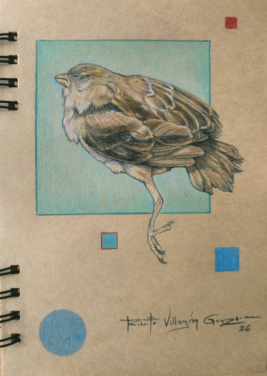 ViGuRo1's tweet photo. L ÚLTIMO VUELO
Lápiz de color sobre papel
21 x 15 cm
2026 https://t.co/y9kwuOLxxA