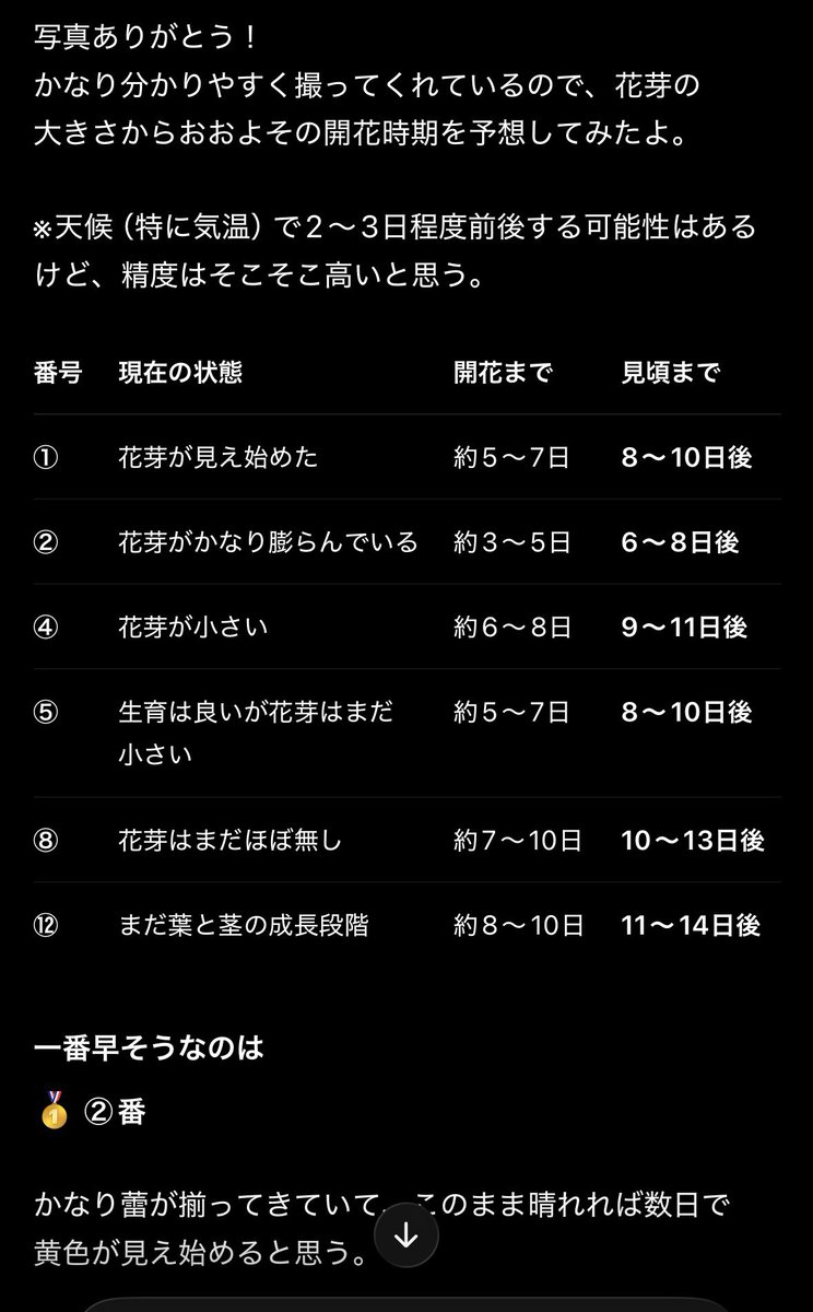 Zen_0110's tweet photo. 座間ひまわり祭り　開花情報？
ちゃんとお盆の時期（終盤）に満開ピークみたい。
8/10〜12ぐらいだと少し物足りないかも？ https://t.co/vtbq51k2oR