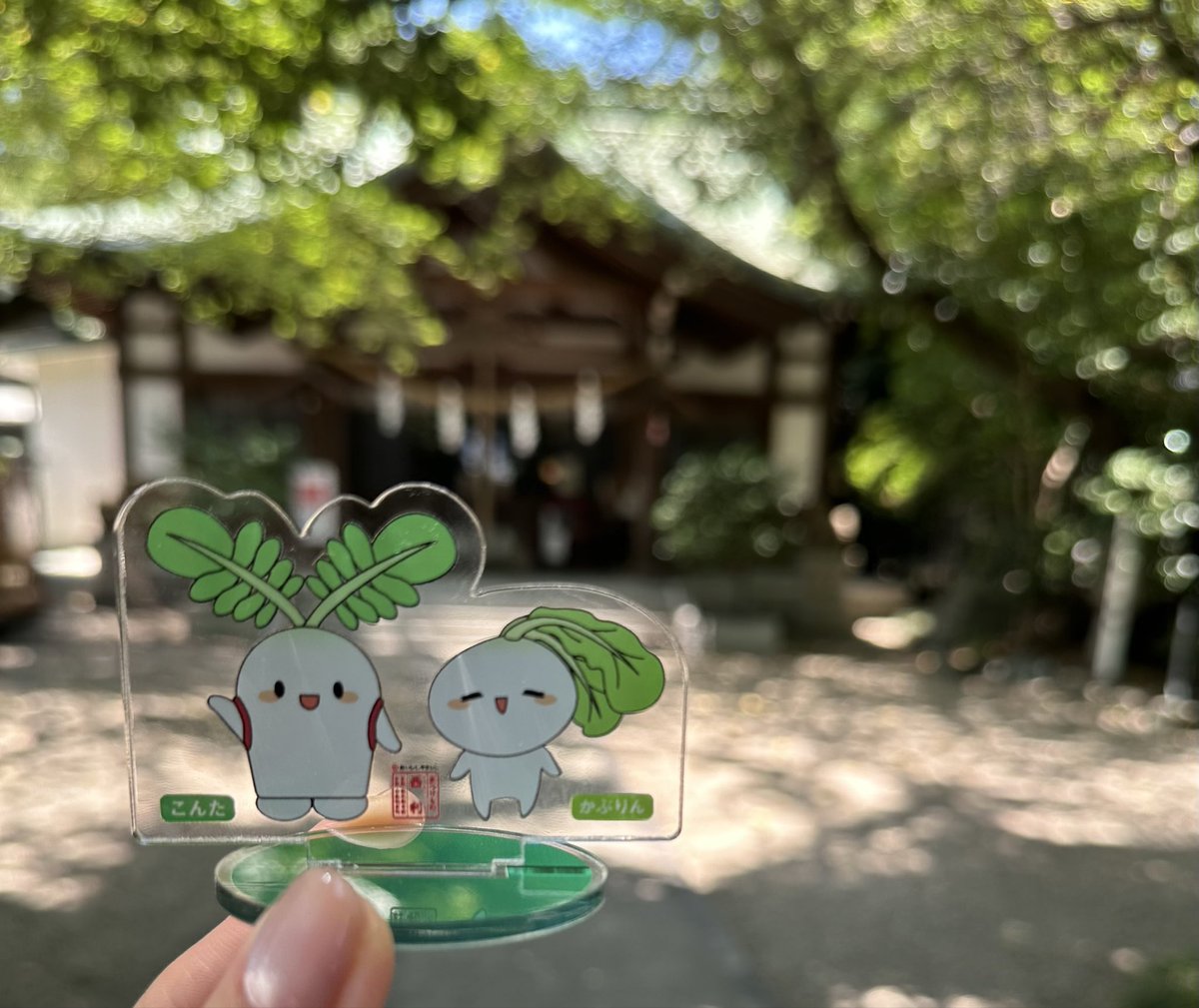 kyoto_nishiri's tweet photo. おはようございます！ 京都市の天気は晴れ
昨日は、日本で唯一「漬物の祖神」をお祀りする萱津神社へ、漬物メーカー4社で参拝させていただきました✨
その後は名古屋グルメを堪能し、がブ吉さんにもお会いでき...🙌
学びと素敵なご縁に恵まれた、実りある名古屋の旅となりました☺️（Y）
#お漬物友の会 https://t.co/0l96FVtdkc