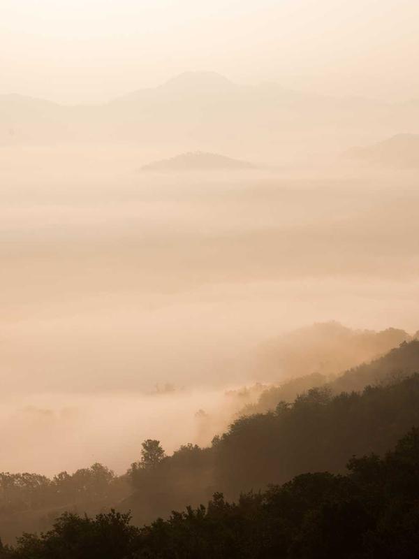 theadvtech's tweet photo. Lose yourself in the 'Golden Haze Over Peaks.' Canvas Melody has crafted a breathtaking sonic journey through serene mountains, golden dawns, and whispered ancient secrets. Find your peace in this timeless melody.

MP3: https://t.co/74JznPB1pE https://t.co/Cbz5ergDWy