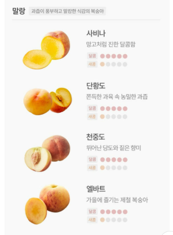 cherryplan2's tweet photo. 복숭아 품종 진짜 다양한데 내가 맛있게 먹은게 뭐였는지 몰랐는데 이거 읽어보고 설마 대극천?이러면서 샀는데 과거의 내가 먹고 눈물 흘렸던 그 맛 맞음 ㅠㅠ
대극천 진짜 맛있다 딱복파는 대극천이다..🍑🍑 https://t.co/egTSrg3UG6