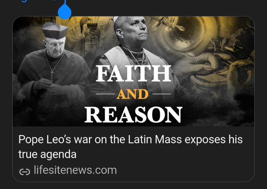 MichelliYo1's tweet photo. Pope Leo’s war on the Latin Mass exposes his true agenda  https://t.co/WXTbzkiBk3 https://t.co/qznXLv1f41