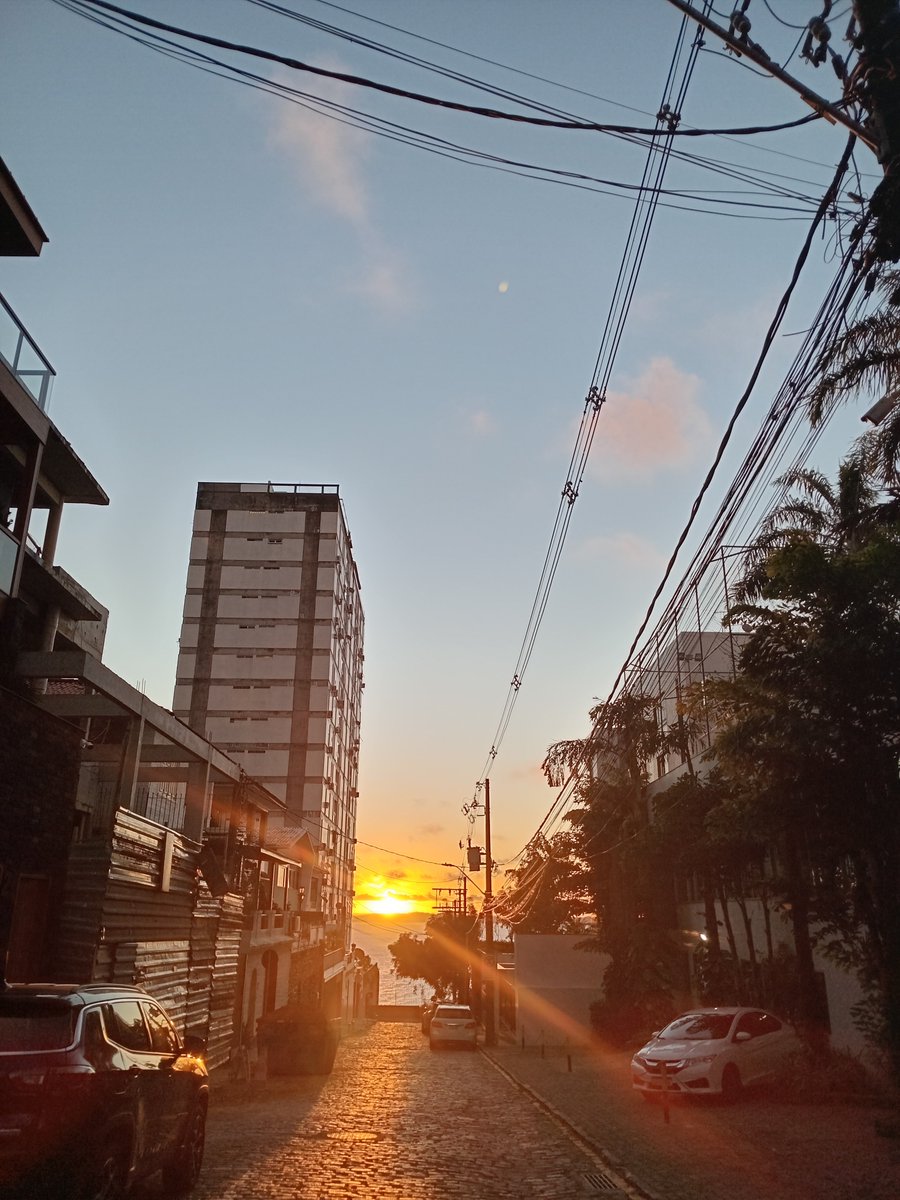 dearwomnn_'s tweet photo. olhem esas fotos lindíssimas que tirei hoje https://t.co/b3tuehVbFK