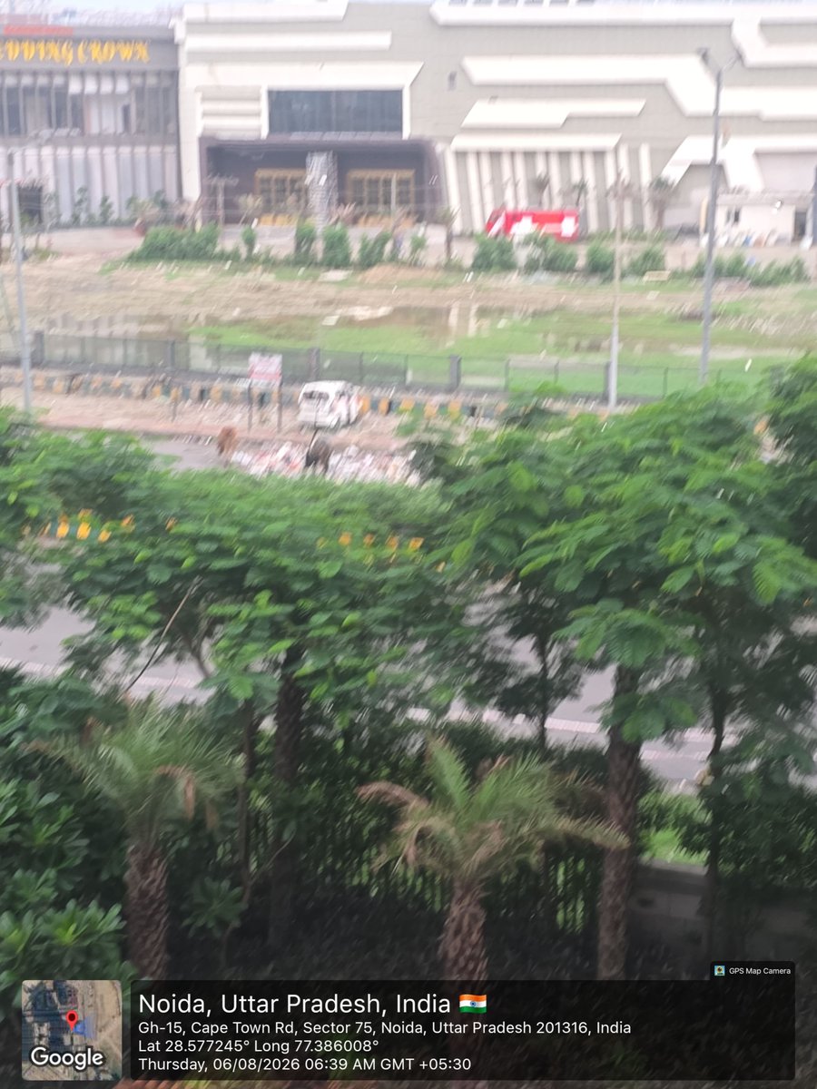 ivycounty75's tweet photo. @CeoNoida @MoHUA_India @CPCB_OFFICIAL @noida_authority @InduPrakashPCS daily affair of garbage dump in front of IVY County,sec 75. No cleaning by NA. Are we waiting for some mishappening.@PankajSinghBJP https://t.co/2YBszh4zbz