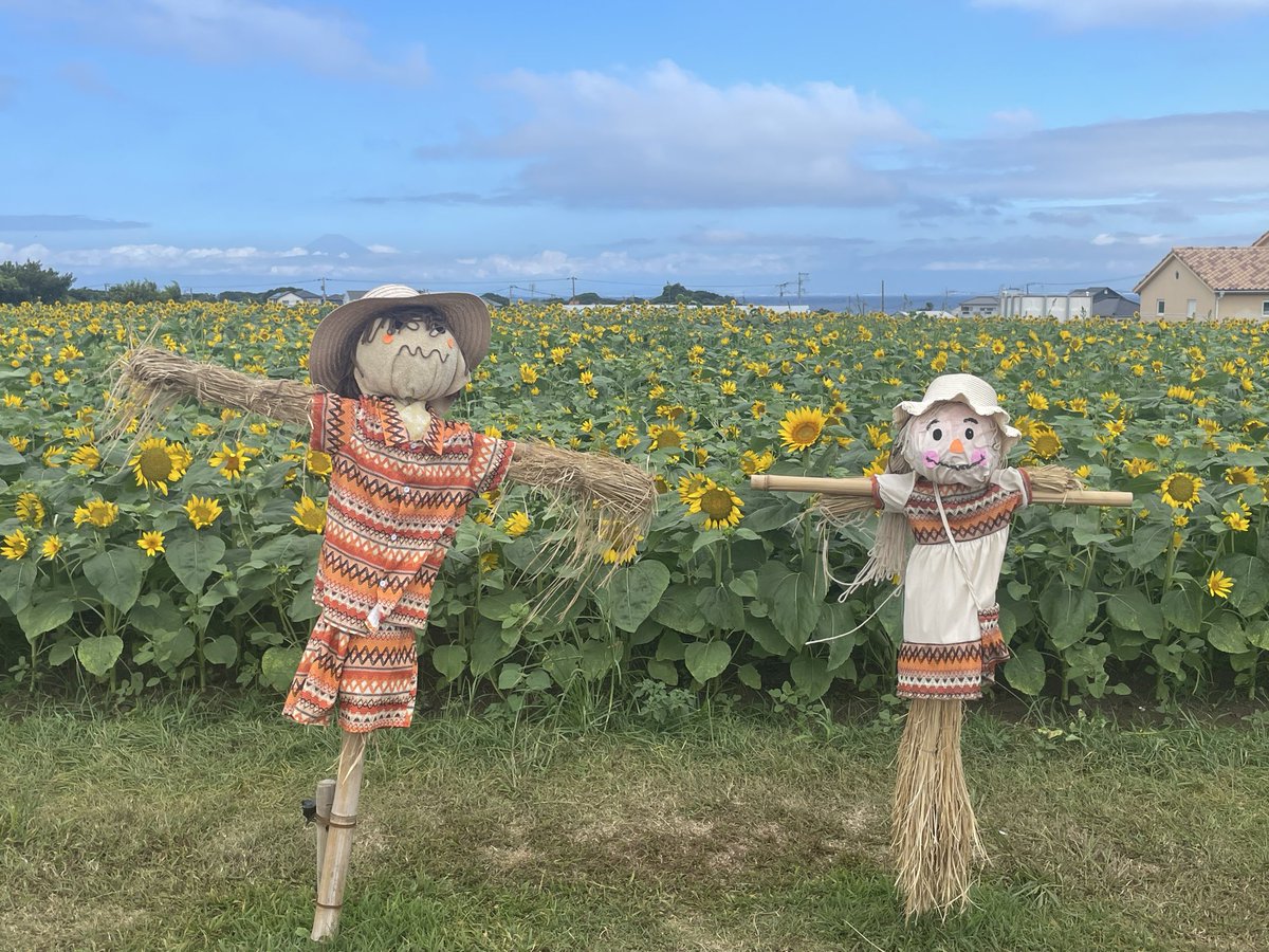 KentarowY's tweet photo. 久しぶりにソレイユの丘
🌻🌻🌻🌻🌻🌻🌻 https://t.co/5R2qfkhjQ5