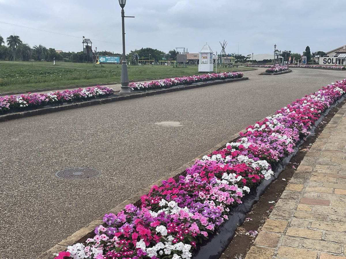 KentarowY's tweet photo. 久しぶりにソレイユの丘
🌻🌻🌻🌻🌻🌻🌻 https://t.co/5R2qfkhjQ5