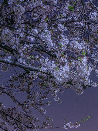 aestheticspost_'s tweet photo. https://t.co/NHOXa93drW