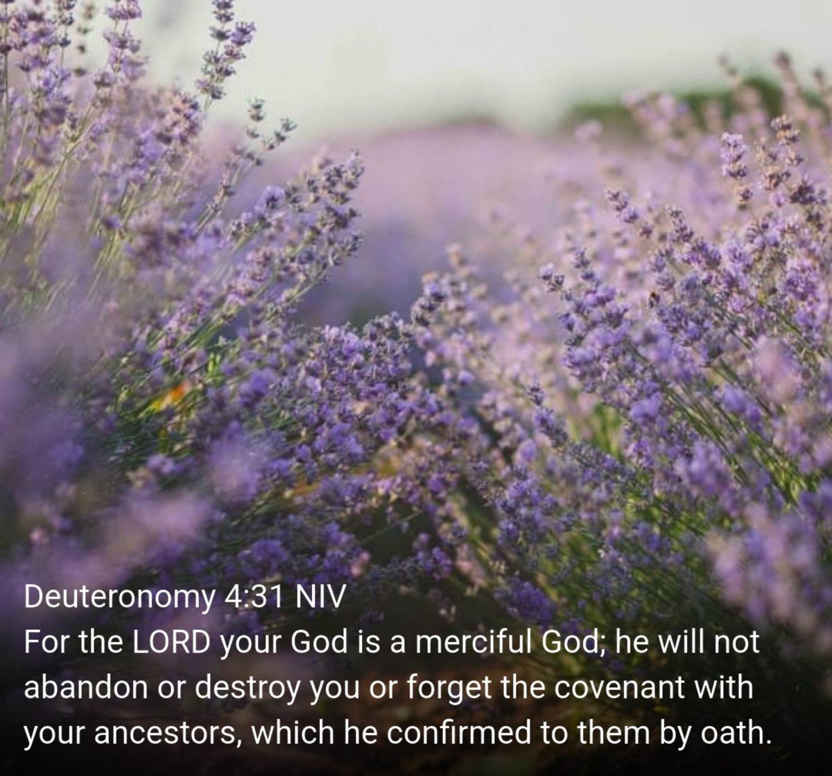 xGirlGamerx77's tweet photo. God will bless you if you have an open heart and a positive mindset #fyp #Christians #FollowGod https://t.co/MIwMvbXsaW