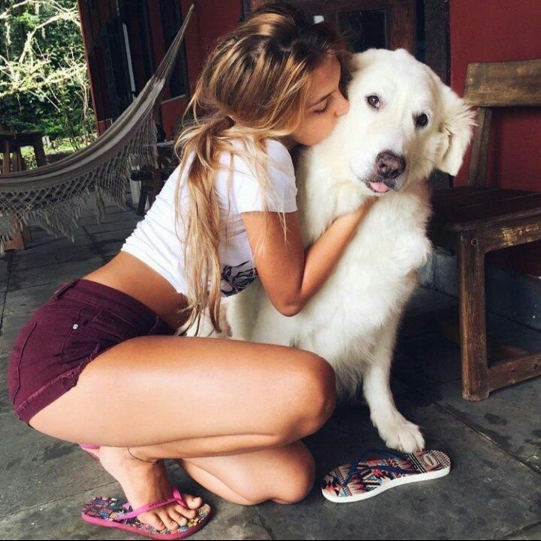 mychaladvn's tweet photo. Every wagging tail brings a new smile and another reason to be grateful 🐾💖 Life is better with a loyal pup by your side. Hit Subscribe and come along for all the fun, adventures, and unforgettable moments! 🐶✨
https://t.co/sE6KOXTmJK https://t.co/4hjeiIWYAf