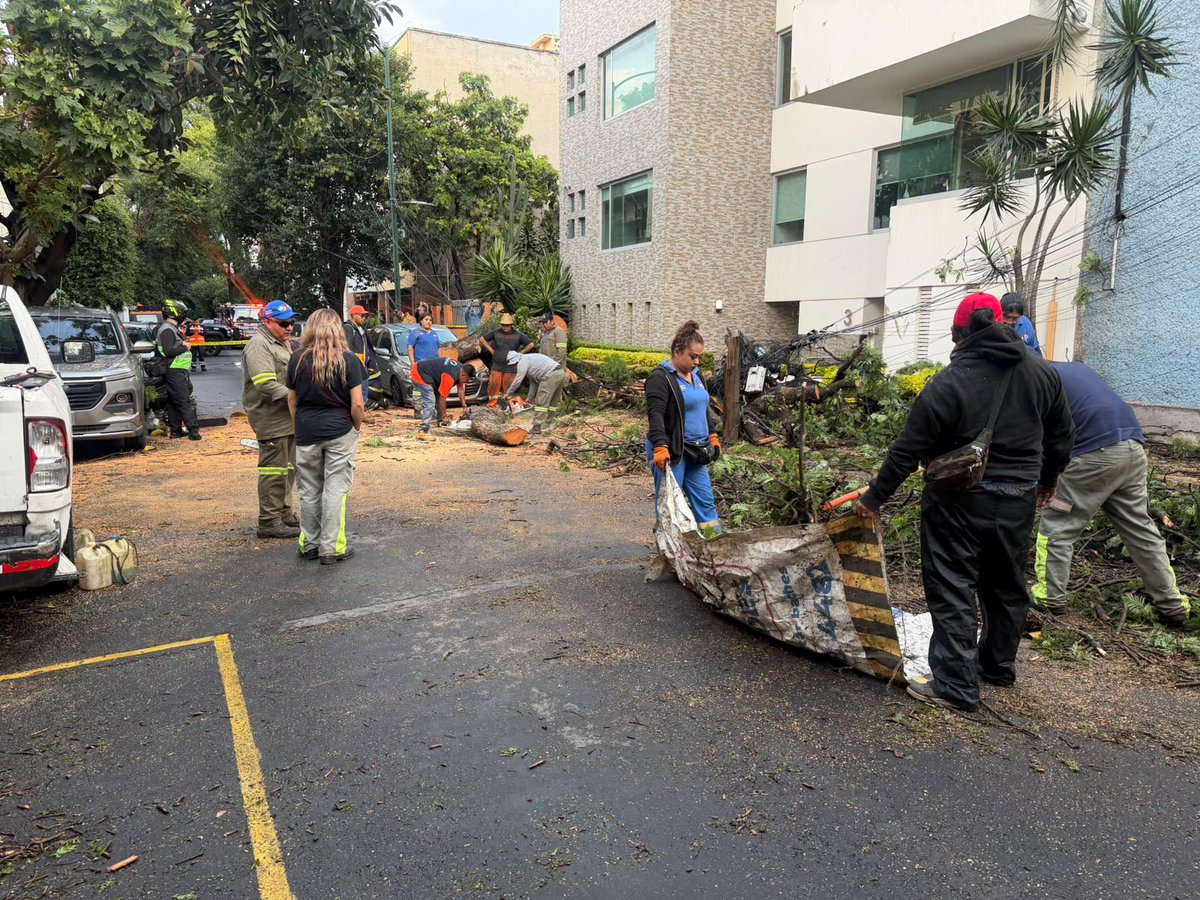 BlindarBJ's tweet photo. Tras la atención realizada por @Bomberos_CDMX al interior del DIF ubicado en Av. México Coyoacán, en coordinación con personal de #DGSU se realiza el retiro de las ramas en el exterior del inmueble para liberar la zona y mantener condiciones seguras. 🌳🚧 https://t.co/zNl7W4lif5